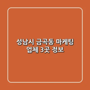 성남시 금곡동 마케팅 업체 3곳 정보
