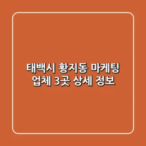 태백시 황지동 마케팅 업체 3곳 상세 정보