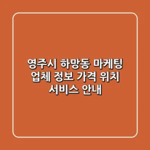 영주시 하망동 마케팅 업체 정보 - 가격, 위치, 서비스 안내