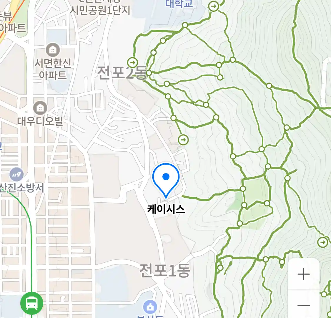 케이시스 위치